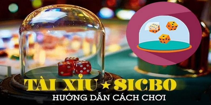 Luật lệ game tài xỉu Thabet bạn cần nắm rõ